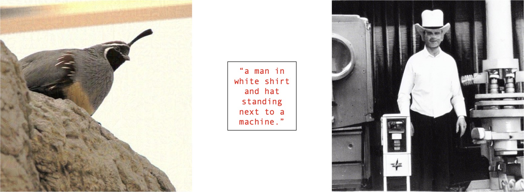 Adversarial Example 3