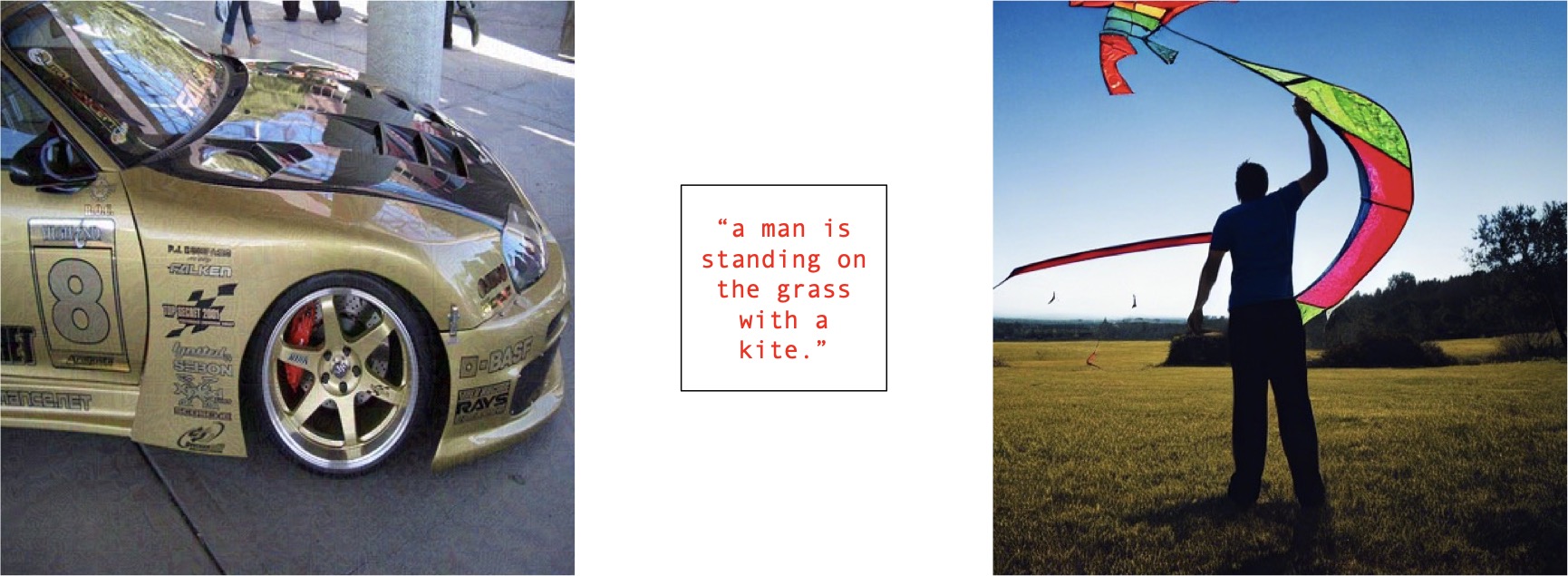 Adversarial Example 5